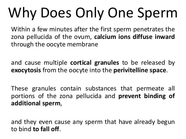 Would like intense male orgasm think, that Nice intense male orgasm helpful